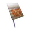 Emma Ball Highland Coos Notebook N41