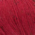 Hollyberry 6231  +