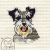 Miniature Schnauzer 002  +