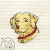 Labrador 006  +