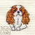 Cavalier King Charles Spaniel 007  +