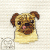 Pug 008  +