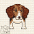 Beagle 402  +