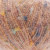 Apricot 02  +