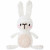 Bunny 041  +