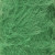 Fir 006  +