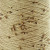 Gold 005  +