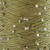 Olive 006  +