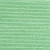 Eucalyptus 603  +