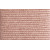 Blush 457  +
