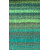 Anthia 5534  +