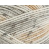Stylecraft Bambino Print DK
