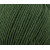 Fierce Fern 7355  +