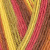 Autumn Leaves 885  +
