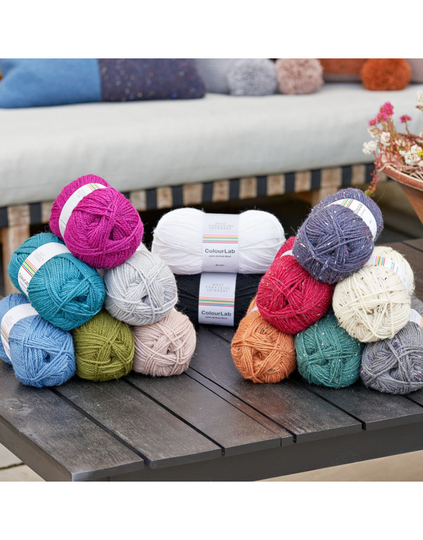 WYS Colourlab Aran