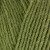 Fern Green 1207  +
