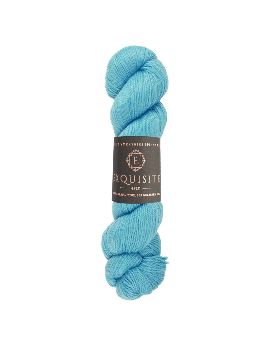 WYS Exquisite 4 Ply