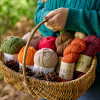 WYS Forager Knit Along Yarn Bundle