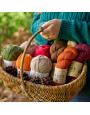 WYS Forager Knit Along Yarn Bundle