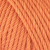 Ginger 1073  +