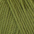 Lily Pad 1187  +