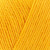 Sunflower 1001  +