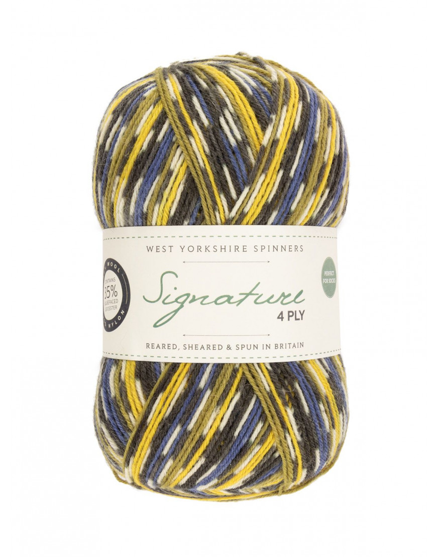 WYS Signature 4 ply Sock Yarn