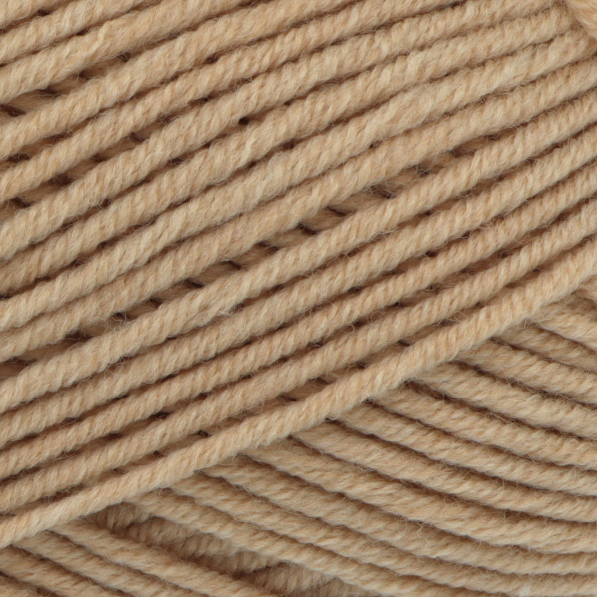 King Cole Little Lamb DK