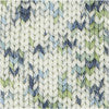 Rico Baby Merino Print DK