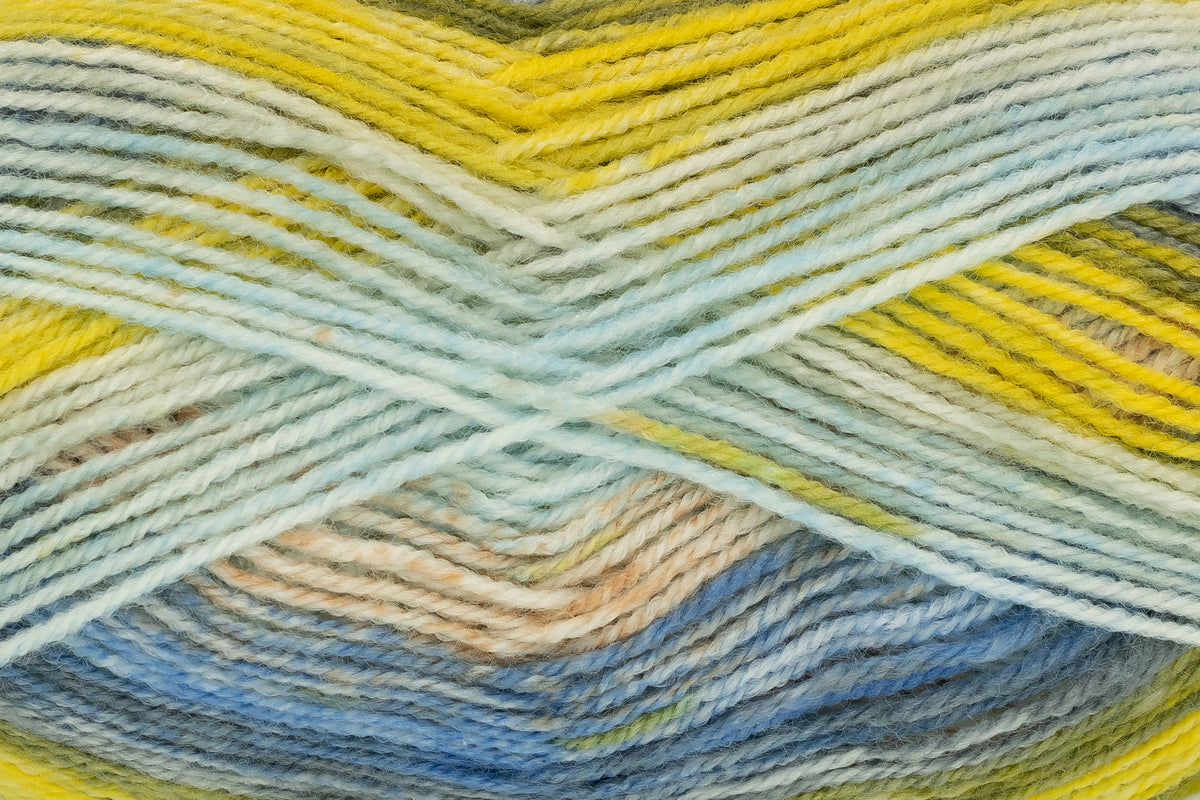 King Cole Bramble DK