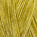 Stylecraft Life DK Wash