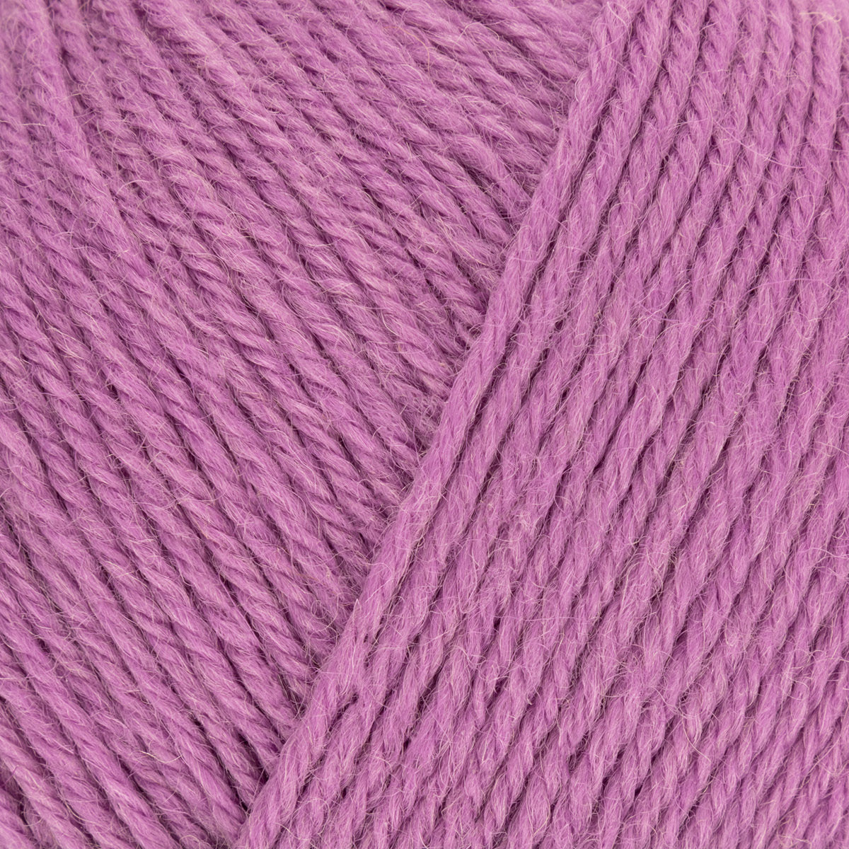 WYS Colourlab DK