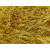 Gold 208  +