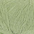 Fennel 5247  +