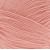 Carnation 2623  +