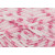 Raspberry Ripple 2213  +