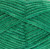 Clover 6081  +