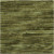 Olive 20  +