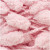 Pink 019  +