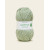Fern 204  +