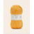 Sorbet 509  +