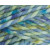 Sea Holly 6059  +