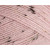 Pale Rose Nepp 2493  +